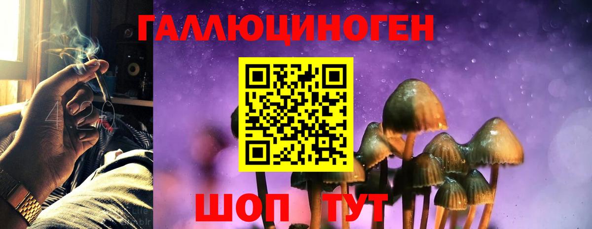 Галлюциногенные грибы ЛСД Ачхой-Мартан